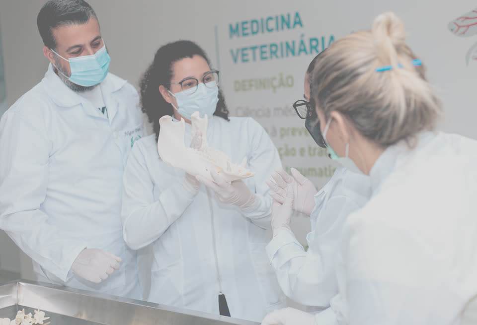 Professor e alunas de jaleco examinando uma mandíbula no laboratório de Medicina Veterinária