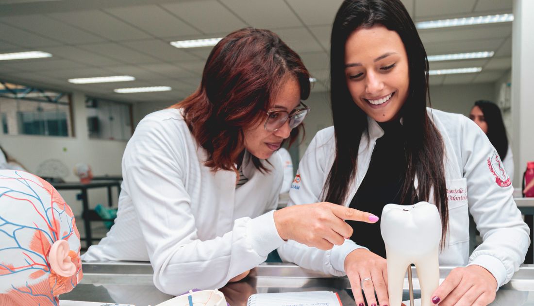 descubra por que fazer o curso de odontologia