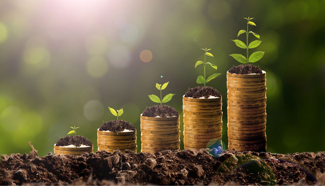 a economia verde é a tendencia para o futuro