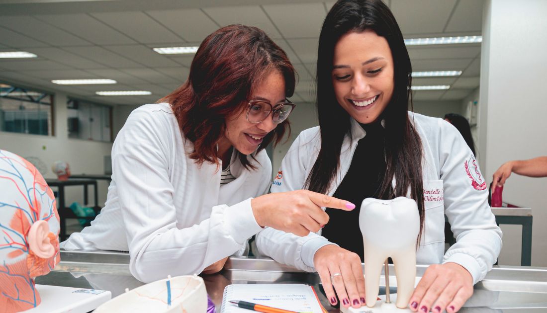 saiba mais sobre a graduação de odontologia
