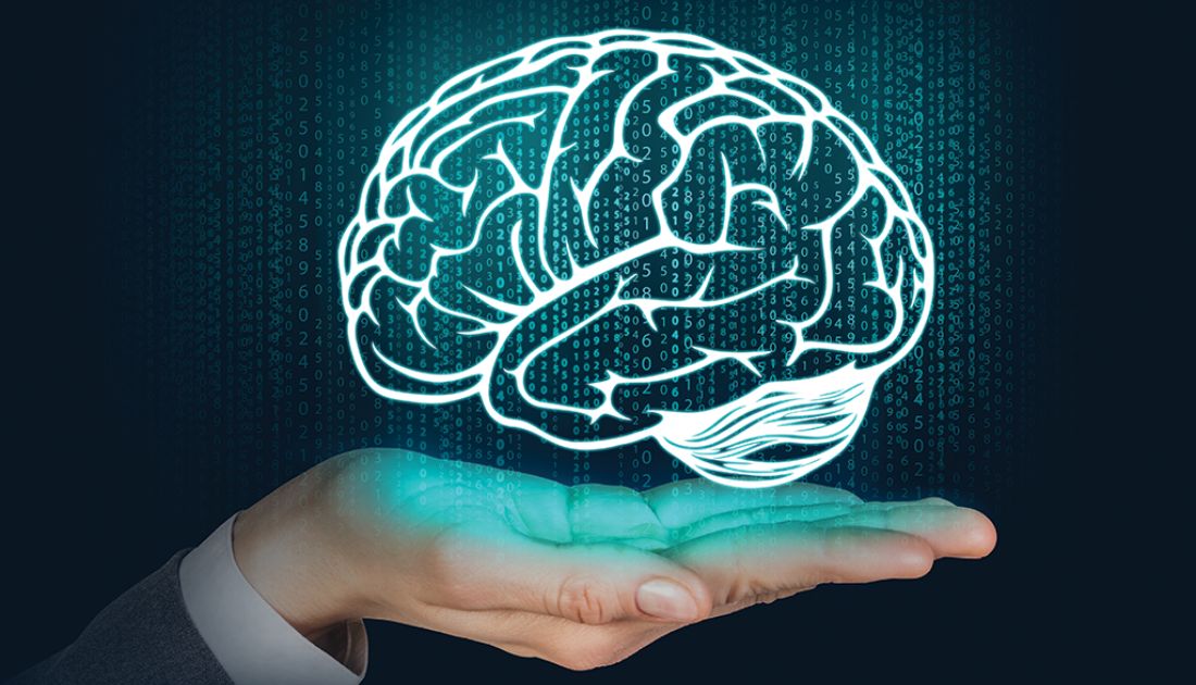 conheça a especialização em neurociencia e aprendizagem
