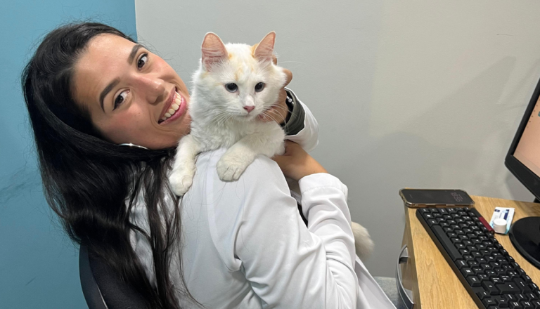 Profissional da área veterinária segura um gato branco no colo durante atendimento, destacando o cuidado, o acolhimento e a importância da saúde preventiva dos pets.