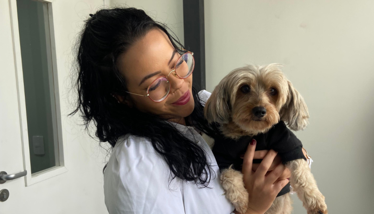 Profissional de medicina veterinária usando jaleco branco segura um cachorro de pequeno porte durante atendimento em uma clínica veterinária. O animal veste uma roupa escura e ambos estão próximos a uma mesa de consulta.