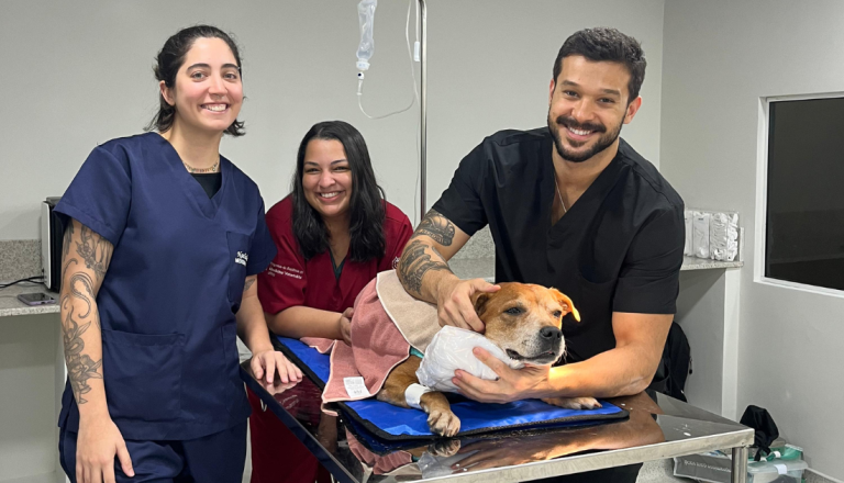 Três profissionais de medicina veterinária posam ao lado de um cão sobre uma mesa de atendimento em uma clínica veterinária. O animal está deitado, coberto por um tecido e com curativo na região da cabeça.
