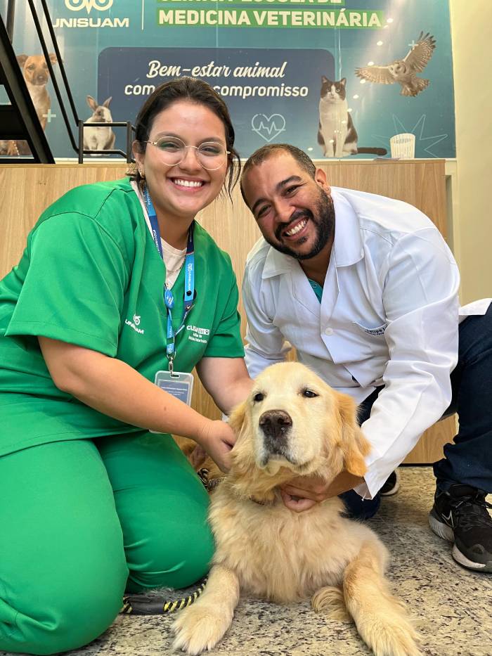 Cuidados com pets no frio: proteja seu animal de estimação nos dias gelados